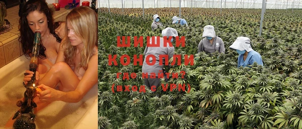 PSILOCYBIN Абинск